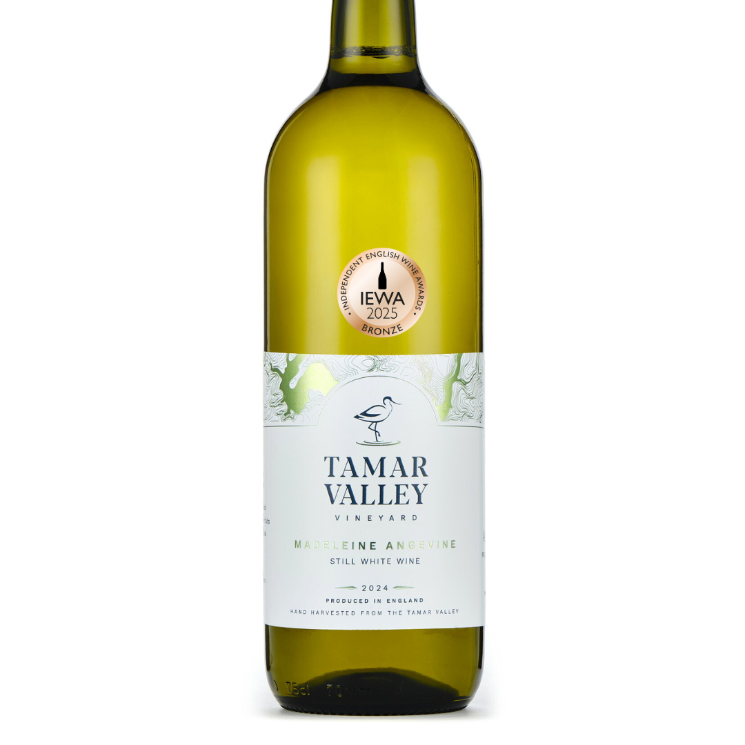 AWARD-WINNING Madeleine Angevine 2024 - Still White Wine