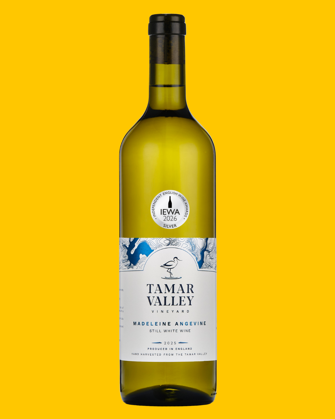 AWARD-WINNING Madeleine Angevine 2025 - Still White Wine - Image 2